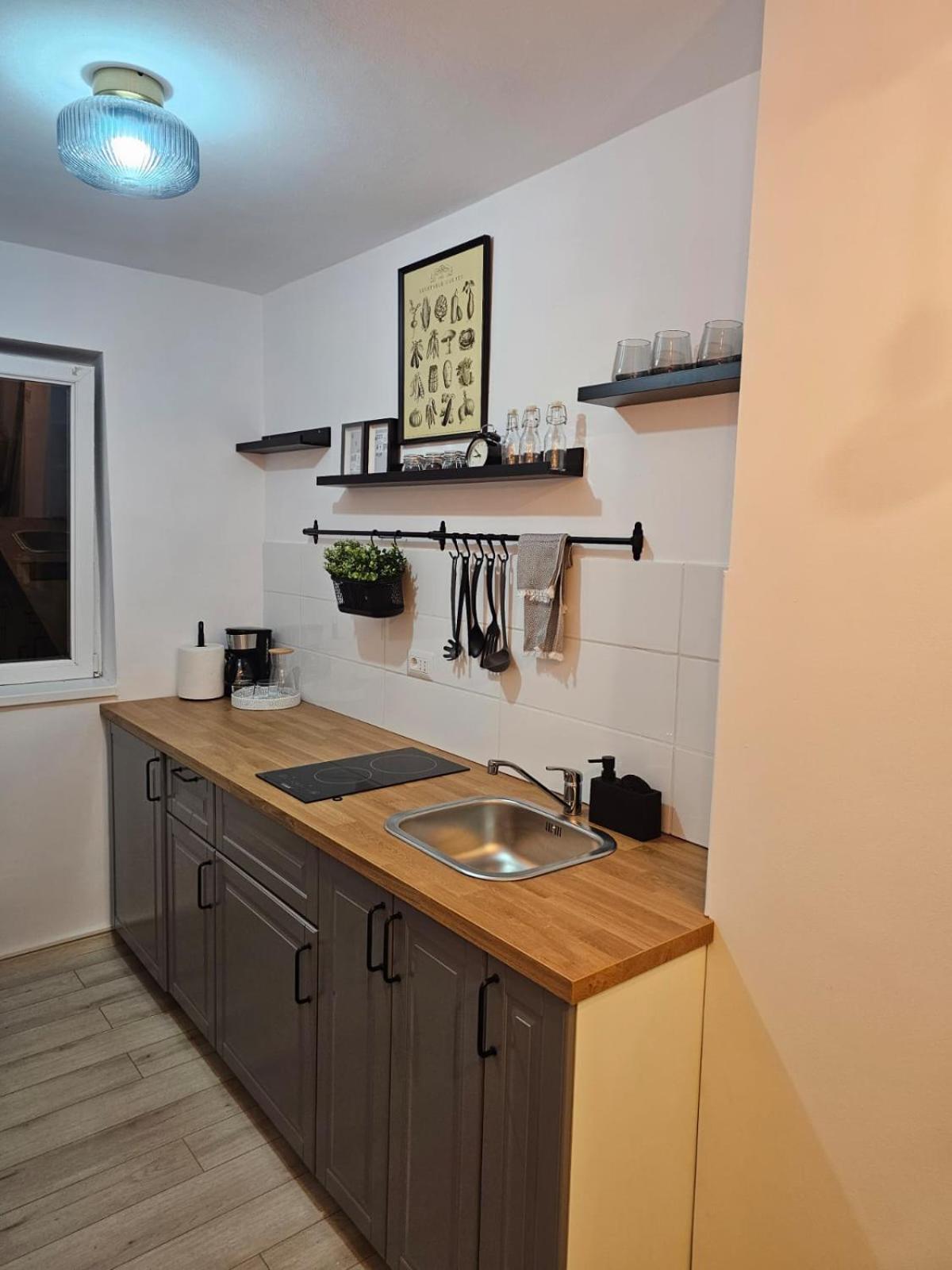 Hortensia Apartment Tomis Nord المظهر الخارجي الصورة